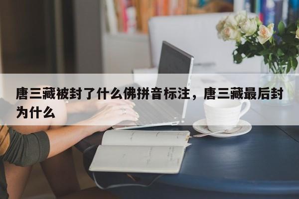 唐三藏被封了什么佛拼音标注,唐三藏最后封为什么