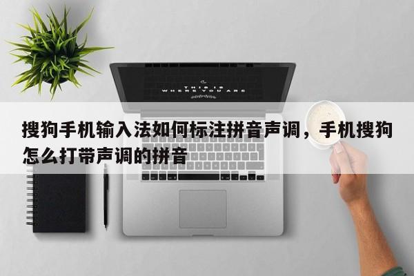 搜狗手机输入法如何标注拼音声调,手机搜狗怎么打带声调的拼音