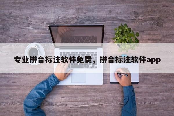 专业拼音标注软件免费,拼音标注软件app