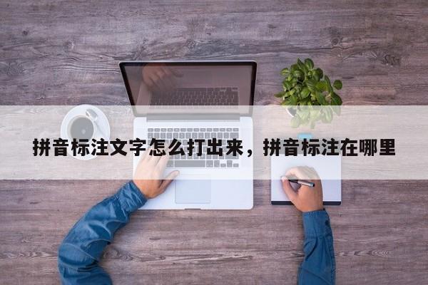 拼音标注文字怎么打出来,拼音标注在哪里