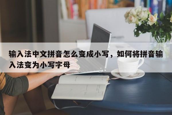 输入法中文拼音怎么变成小写,如何将拼音输入法变为小写字母