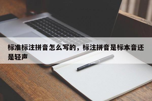 标准标注拼音怎么写的,标注拼音是标本音还是轻声