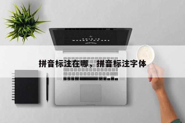 拼音标注在哪,拼音标注字体