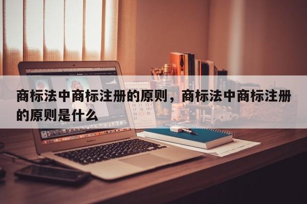 商标法中商标注册的原则,商标法中商标注册的原则是什么