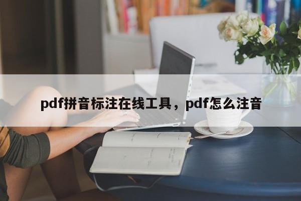 pdf拼音标注在线工具,pdf怎么注音